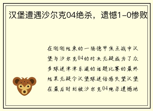 汉堡遭遇沙尔克04绝杀，遗憾1-0惨败